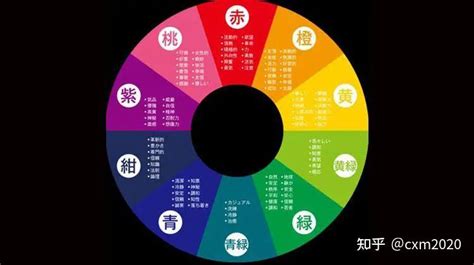 紫色五行屬性